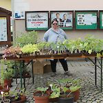 Foto: Doris Radinger; Viele verschiedene Pflanzen konnte man bei Petra Planyavsky erwerben.