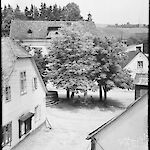 ID: 1616919 Blick in den Markt (1944), Urheber: Schneider/Engler, Besitzer: R. Engler