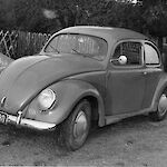 ID: 227166 VW-Käfer Baujahr 1955 (cirka 1970), Urheber und Besitzer:  Fam Radinger