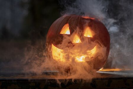 Titelbild von Gruseliges Halloweenfest beim Kaumberger Jugendrotkreuz